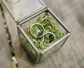 Profesionalus fotografavimas / nuotraukų retušavimas / FoToRok / Darbų pavyzdys ID 1639451
