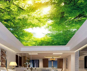 Įtempiamos lubos, montavimas - Įtempiamos lubos - 1