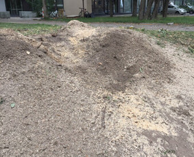 Kelmų naikinimas, frezavimas - Kelmu frezavimas, naikinimas - 3