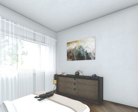 3d Modeliavimas/interjero/eksterjetro vizualizacijos / Tomas Le / Darbų pavyzdys ID 1647915
