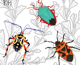 Iliustracijos knygoms, animacijai - Internetas, IT - 3 Internetas, IT - Iliustracijos knygoms, animacijai - 3