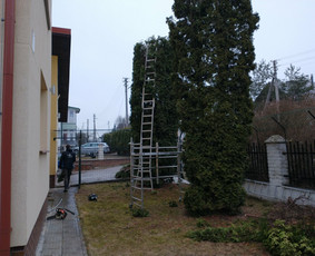 Aplinkos apželdinimas, tvarkymas, gerbūvio darbai. / Žaliasis spektras / Darbų pavyzdys ID 1656023