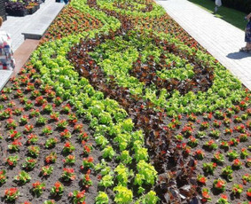 Augalų ir medelių sodinimas - Teritorijų tvarkymas ir želdinimas - 2