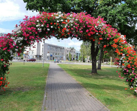 Teritorijų tvarkymas ir želdinimas - Kiemo, aplinkos apželdinimas - 1 Kiemo, aplinkos apželdinimas - Teritorijų tvarkymas ir želdinimas - 1