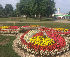 Teritorijų tvarkymas ir želdinimas - Kiemo, aplinkos apželdinimas - 2 Kiemo, aplinkos apželdinimas - Teritorijų tvarkymas ir želdinimas - 2