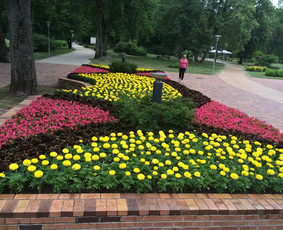 Augalų ir medelių sodinimas - Teritorijų tvarkymas ir želdinimas - 4
