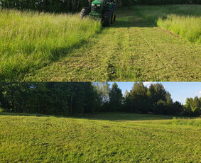 Žolės pjovimas, aeravimas, daugiabučių kiemų priežiūra. - Pievų šienavimas - 1 Pievų šienavimas - Žolės pjovimas, aeravimas, daugiabučių kiemų priežiūra. - 1