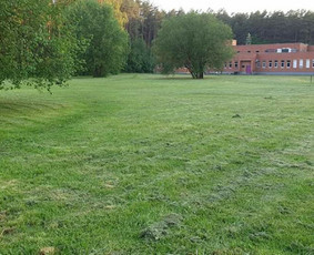 Žolės pjovimas, aeravimas, daugiabučių kiemų priežiūra. / MB Dgaid Group / Darbų pavyzdys ID 1661393