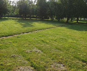 Žolės pjovimas, aeravimas, daugiabučių kiemų priežiūra. / MB Dgaid Group / Darbų pavyzdys ID 1661395