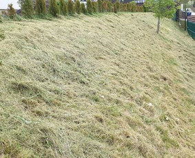 Žolės pjovimas, aeravimas, daugiabučių kiemų priežiūra. / MB Dgaid Group / Darbų pavyzdys ID 1661409
