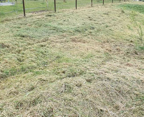 Žolės pjovimas, aeravimas, daugiabučių kiemų priežiūra. / MB Dgaid Group / Darbų pavyzdys ID 1661411