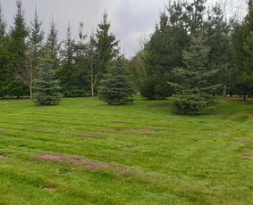 Žolės pjovimas, aeravimas, daugiabučių kiemų priežiūra. / MB Dgaid Group / Darbų pavyzdys ID 1661413