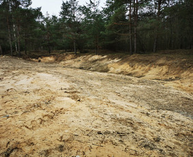 Žemės darbai vikšriniu Bobcat T590 - Sklypo lyginimas, formavimas - 4 Sklypo lyginimas, formavimas - Žemės darbai vikšriniu Bobcat T590 - 4