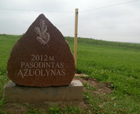 Raidžių kalimas kapavietėse / Vidmantas / Darbų pavyzdys ID 1669781