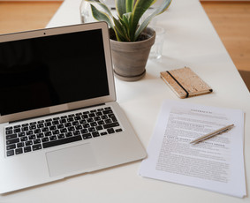 Teisinės paslaugos - Profesionalios teisinės paslaugos / Legal services - 1