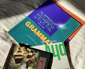Šnekamosios ir verslo anglų kalbos pamokos online / Ramunė Kavaliauskaitė / Darbų pavyzdys ID 1690039