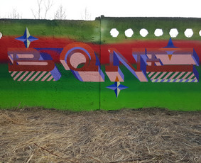 Murals / Frankie Nesbitt / Darbų pavyzdys ID 1693747