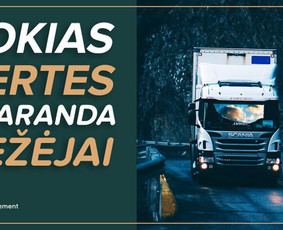 Draudimas, draudimo agentai - Žalų administravimas bei nuostolių vertinimas - 2