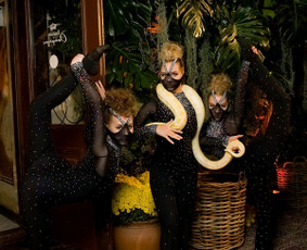 Talentas,Grožis, Kokybė, Tobulumas ... tai Diamonds SHOW!
Pasiilgai nenumaldomo širdies virpulio?! Kraują stingdančių pojūčių?...
Mes Jūsų šventes paversime įsimintinomis amžiams.