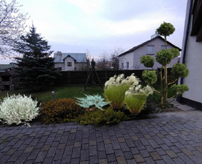 Aplinkos apželdinimas, tvarkymas, gerbūvio darbai. / Žaliasis spektras / Darbų pavyzdys ID 1700089