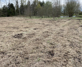 Žolės pjovimas,žemės frezavimas,mulciavimas / Arturas / Darbų pavyzdys ID 1700999