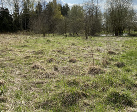 Žolės pjovimas,žemės frezavimas,mulciavimas / Arturas / Darbų pavyzdys ID 1701001