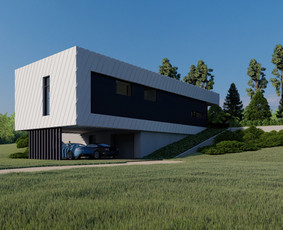 Architektė/projektavimas/gaisrinė sauga / Gėsė Bur / Darbų pavyzdys ID 1710137