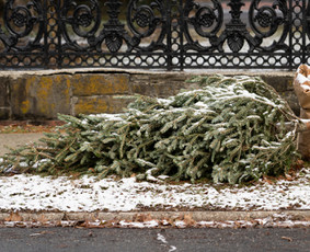 Patikimas krovininis partneris / UAB Conterus / Darbų pavyzdys ID 1718939