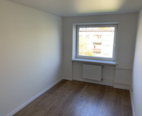 Grindjuosčių montavimas - Dažymas/glaistymas, pilnas vidaus įrengimas - 4