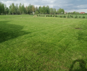 Vejos,peraugusios žolės pjovimas, medžių,krūmų pjovimas. - Žolės pjovimas - 1 Žolės pjovimas - Vejos,peraugusios žolės pjovimas, medžių,krūmų pjovimas. - 1