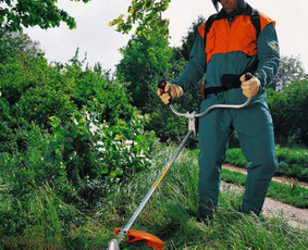 Žoles pjovimas trimeriu nuo 5eur/a Ziurint dar kokia zole. - Aplinka, sodas - 1 Aplinka, sodas - Žoles pjovimas trimeriu nuo 5eur/a Ziurint dar kokia zole. - 1