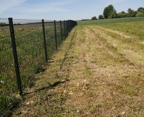 Vejos,peraugusios žolės pjovimas, medžių,krūmų pjovimas. - Pievų šienavimas - 1 Pievų šienavimas - Vejos,peraugusios žolės pjovimas, medžių,krūmų pjovimas. - 1