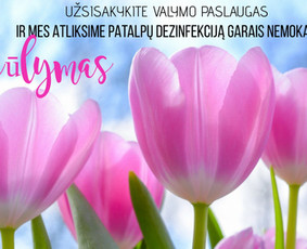 Eko valymas garais,cheminis valymas,ozonavimas,dezinfekcija / UAB "Innovasta" / Darbų pavyzdys ID 1733789