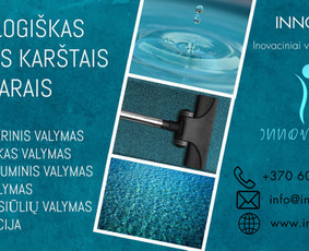 Eko valymas garais,cheminis valymas,ozonavimas,dezinfekcija / UAB "Innovasta" / Darbų pavyzdys ID 1733815