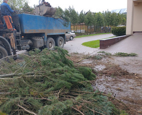 Šakų išvežimas - Aplinkos apželdinimas, tvarkymas, gerbūvio darbai. - 1