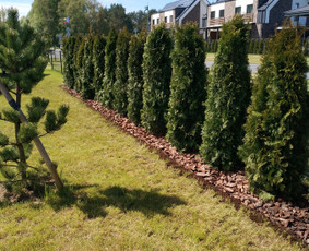 Visos apželdinimo paslaugos nuo idėjos iki realizavimo - Vaismedžių sodinimas ir priežiūra - 2 Vaismedžių sodinimas ir priežiūra - Visos apželdinimo paslaugos nuo idėjos iki realizavimo - 2