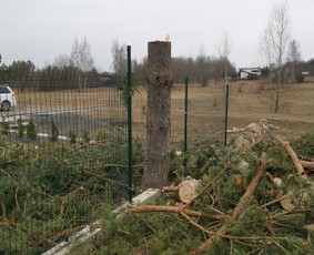 Gerbūvio ir arborizmo paslaugos / Laurynas / Darbų pavyzdys ID 1750057