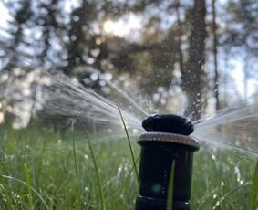 Aplinka, sodas - Laistymo sistemos, vejų įrengimas, augalų sodinimas - 1