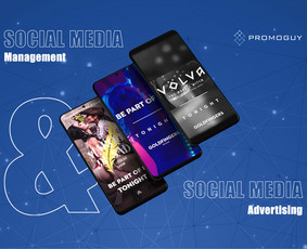 Google, Facebook, Linkedin reklama / strategija / Google, Facebook, Linkedin reklama. / Darbų pavyzdys ID 1766821