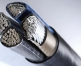 Elektros darbai/ įvadai / įžeminimas / rangovo aktas per 1d. / G-ELECTRIC / Darbų pavyzdys ID 1779115