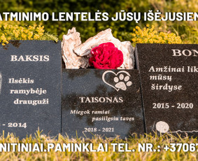 Kapu darbai tvarkymas Raidžių portretų paveikslelių kalimas, / Gytis Pukas / Darbų pavyzdys ID 1783421