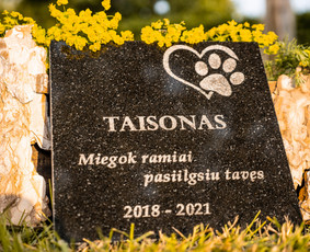Kapu darbai tvarkymas Raidžių portretų paveikslelių kalimas, / Gytis Pukas / Darbų pavyzdys ID 1783423