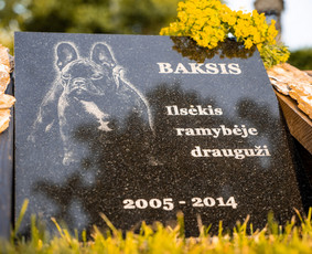 Kapu darbai tvarkymas Raidžių portretų paveikslelių kalimas, / Gytis Pukas / Darbų pavyzdys ID 1783425
