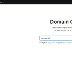 Seo Paslaugos - Nemokama Konsultacija / Tomas Valiūnas / Darbų pavyzdys ID 1786457