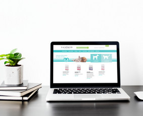 El. parduotuvių kūrimas su OpenCart - Internetinių svetainių, e. shop kūrimas - 1