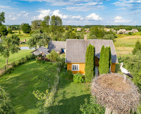NT brokeris Vilniuje. Butų, namų, sklypų, miškų pardavimai / Eugenius Zacharevič / Darbų pavyzdys ID 1793405