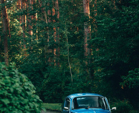 Senovinų volkswagen automobilių nuoma - Senovinių automobilių nuoma - 4 Senovinių automobilių nuoma - Senovinų volkswagen automobilių nuoma - 4