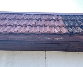 Trinkelių valymas - Stogo plovimas - Fasado plovimas - Stogų valymas ir priežiūra - 3 Stogų valymas ir priežiūra - Trinkelių valymas - Stogo plovimas - Fasado plovimas - 3