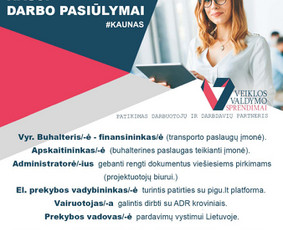 Virtuali asistentė / Inga Kliknaite / Darbų pavyzdys ID 1806109