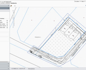 Kadastriniai matavimai - Toponuotraukos-kadastriniai matavimai-nužymėjimas - 2